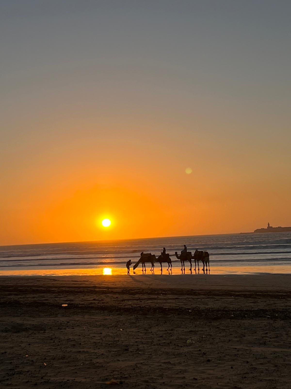 Comment aller de Marrakech à Essaouira ? — riad à Essaouira